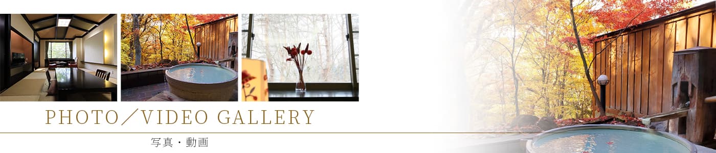 PHOTO/VIDEO GALLERY 写真・動画