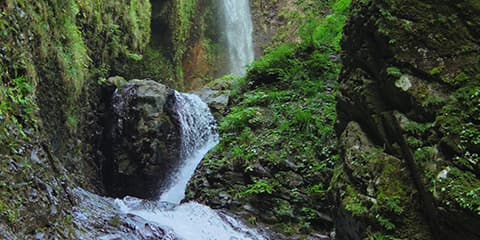 竜化の滝