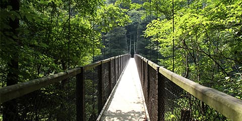 回顧の吊り橋